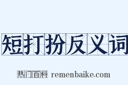 短打扮反义词是什么意思的图片